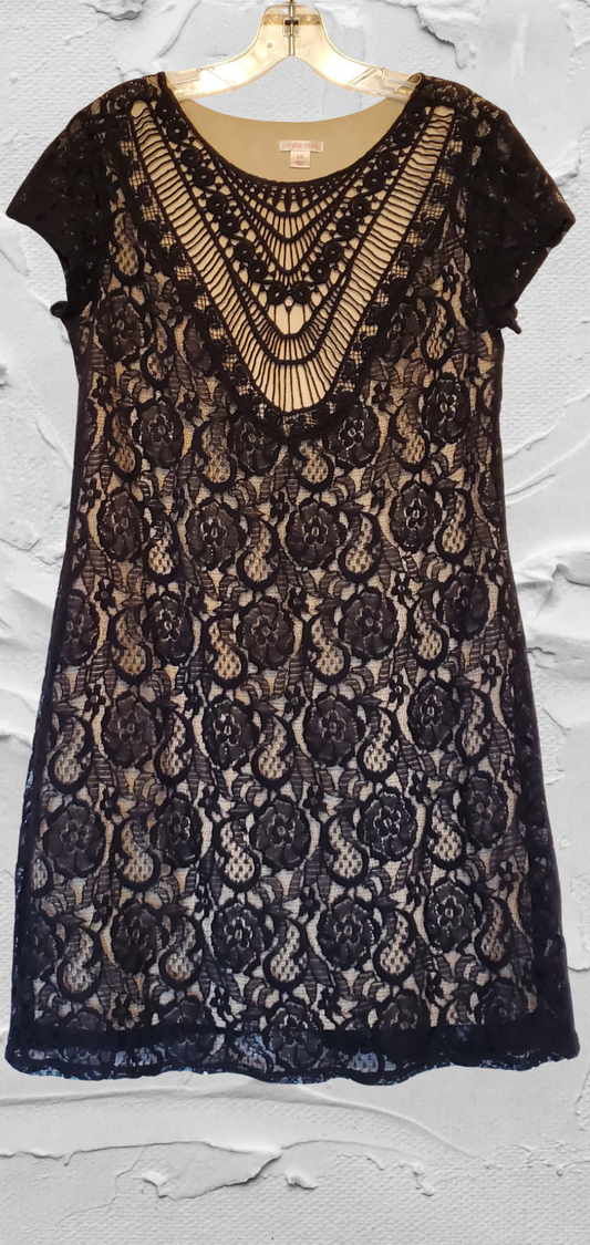 Black Lace Shift Dress